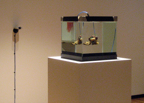 Experiments in Galvanism as installed at the Walter Phillips Gallery in Banff in 2005. Photo by Steve Dietz.