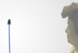 Fly - wall installation detail