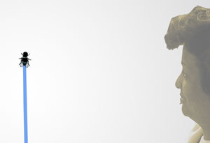 Fly - wall installation detail